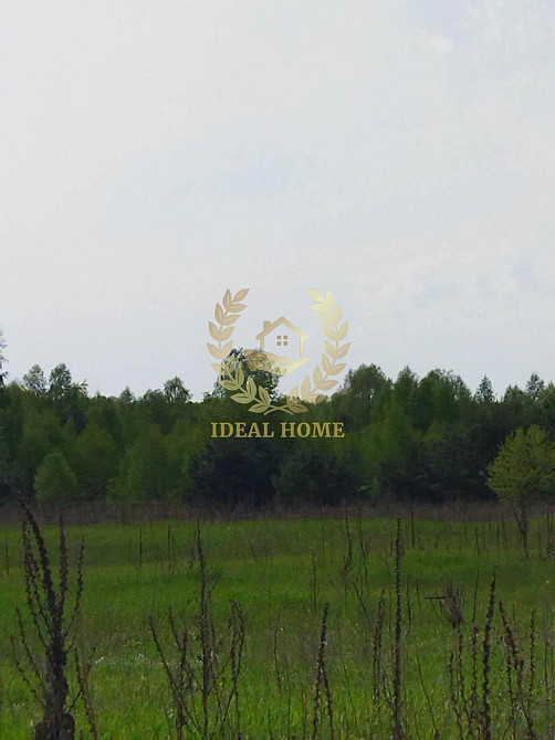 Продаж земельної ділянки 24.99 соток  - фото 3