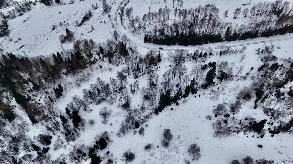 Продаж земельної ділянки 25 соток  - фото 8