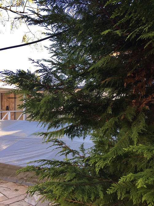 Продаж земельної ділянки 0.1 соток на переулок Зоряний, 6 Нерубайське - фото 7