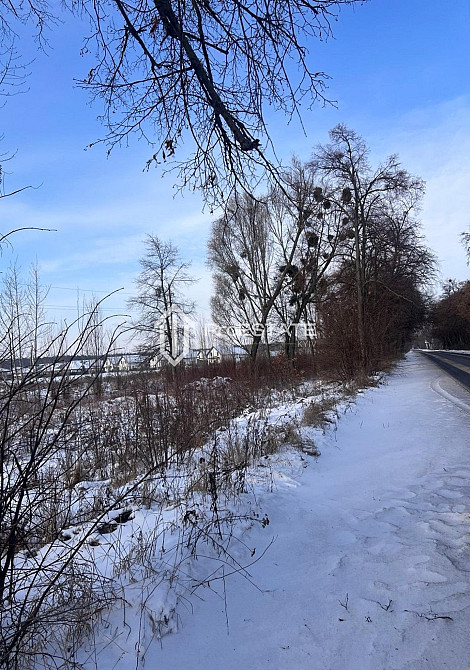 Продаж земельної ділянки 2 га Hnidyn - photo 9