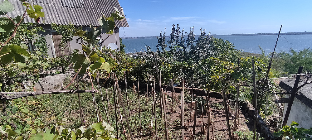 Продается дом с.  Нерубайское с видом на лиман. Нерубайське - фото 18