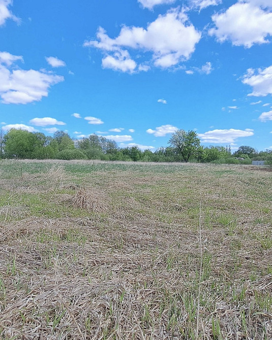 Продаж земельної ділянки 25 соток на Кмитів Zhytomyr - photo 3