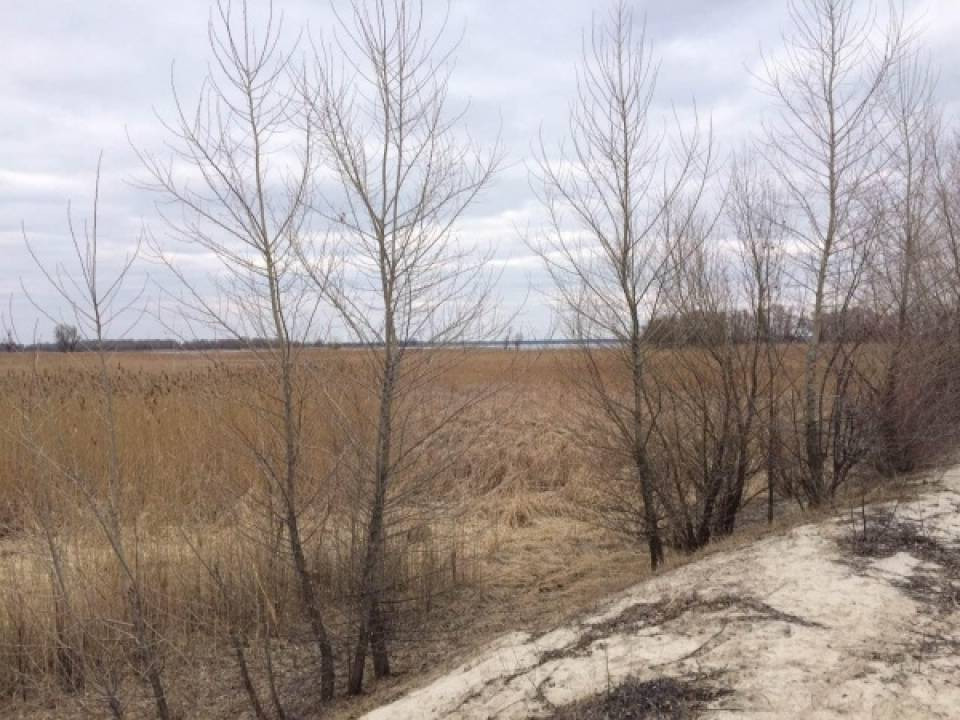 Продаж земельної ділянки на вул. Набережна, Черкаси - фото 9